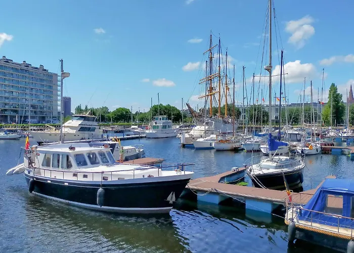 Amazing In With Wifi *